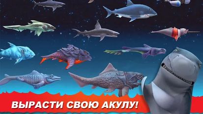  Hungry Shark Evolution (  )  