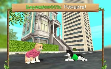 Взломанная Симулятор Кошки Онлайн (На русском языке) на Андроид