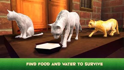Взломанная Home Cat Survival Simulator 3D (Бесконечные деньги) на Андроид