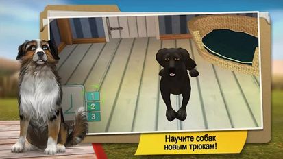 Взломанная DogHotel: питомник для собак (Много монет) на Андроид