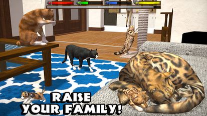 Взломанная Ultimate Cat Simulator (Бесконечные деньги) на Андроид