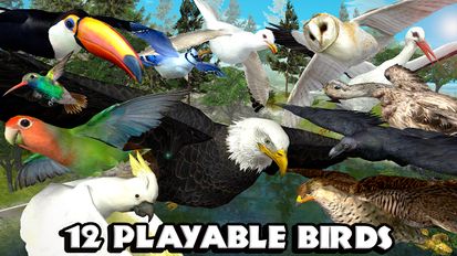 Взломанная Ultimate Bird Simulator (Бесконечные деньги) на Андроид