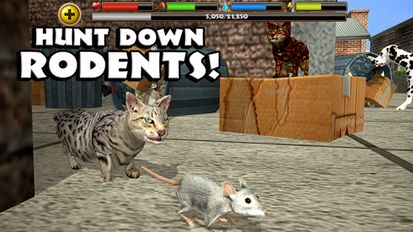 Взломанная Stray Cat Simulator (Много монет) на Андроид