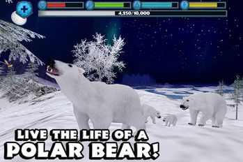 Взломанная Polar Bear Simulator (Бесконечные деньги) на Андроид