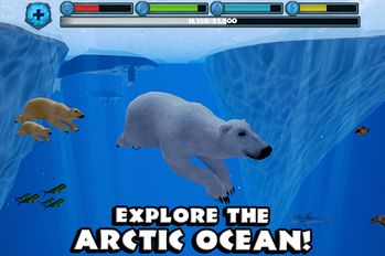 Взломанная Polar Bear Simulator (Бесконечные деньги) на Андроид