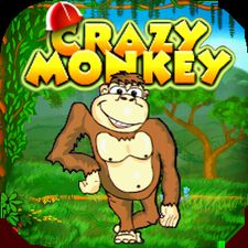  Crazy Monkey ( )  