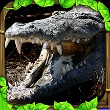 Взломанная Wildlife Simulator: Crocodile (Все разблокировано) на Андроид
