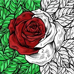 Взлом Color by Number: Coloring Book  [МОД Бесконечные деньги] - полная версия apk на Андроид