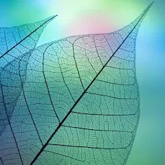 Скачать взломанную 780 words (семьсот восемьдесят)  [МОД Unlocked] - полная версия apk на Андроид