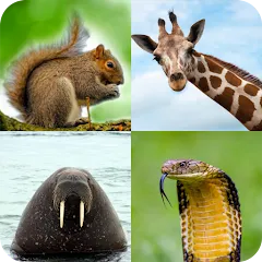 Скачать взлом Animal Quiz: Guess the Animal  [МОД Много денег] - последняя версия apk на Андроид