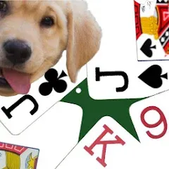 Взломанная K9 Euchre (К9 Юкер)  [МОД Много денег] - последняя версия apk на Андроид