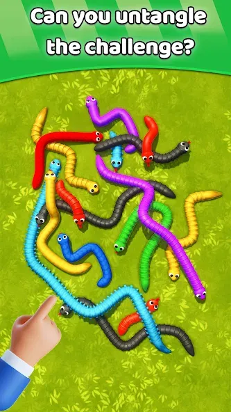 Tangled Snakes Puzzle Game (Танглед Снейк 3Д)  [МОД Бесконечные деньги] Screenshot 5