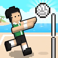 Скачать взломанную Volley Random (Воллей Рэндом)  [МОД Меню] - стабильная версия apk на Андроид