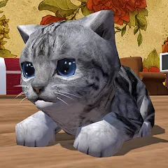 Скачать взлом Cute Pocket Cat 3D (Сьют Покет Кэт 3Д)  [МОД Бесконечные монеты] - стабильная версия apk на Андроид