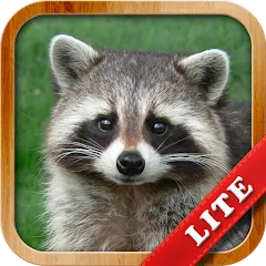 Скачать взломанную Animals for Kids  [МОД Все открыто] - полная версия apk на Андроид
