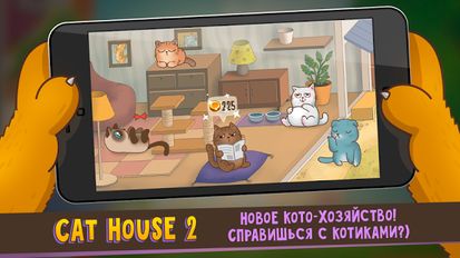  Cats house 2 ( )  