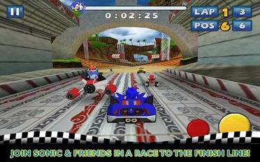  Sonic & SEGA All-Stars Racing ( )  