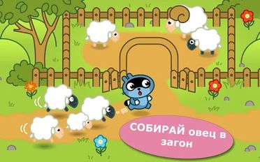  Pango Sheep ( )  