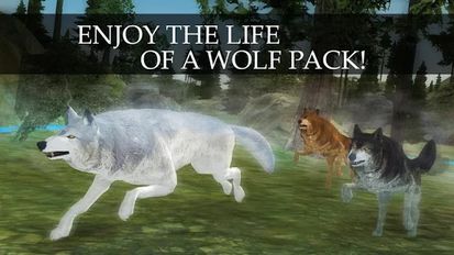  Wild Wolf Quest Online (  )  