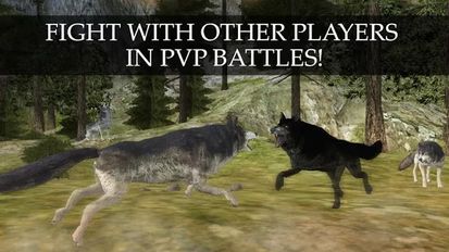  Wild Wolf Quest Online (  )  