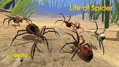  Life of Spider ( )  