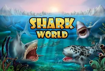  Shark World ( )  