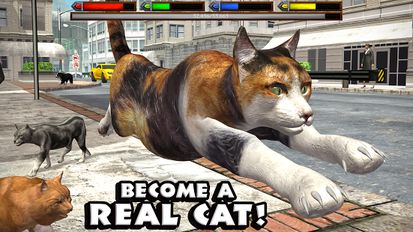  Ultimate Cat Simulator ( )  