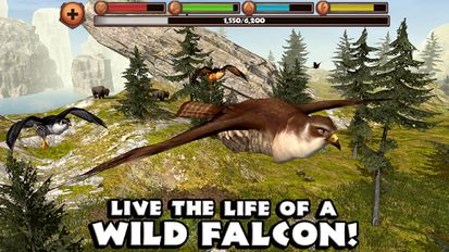  Falcon Simulator ( )  