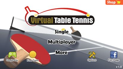  Virtual Table Tennis ( )  