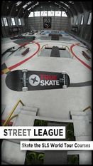  True Skate ( )  